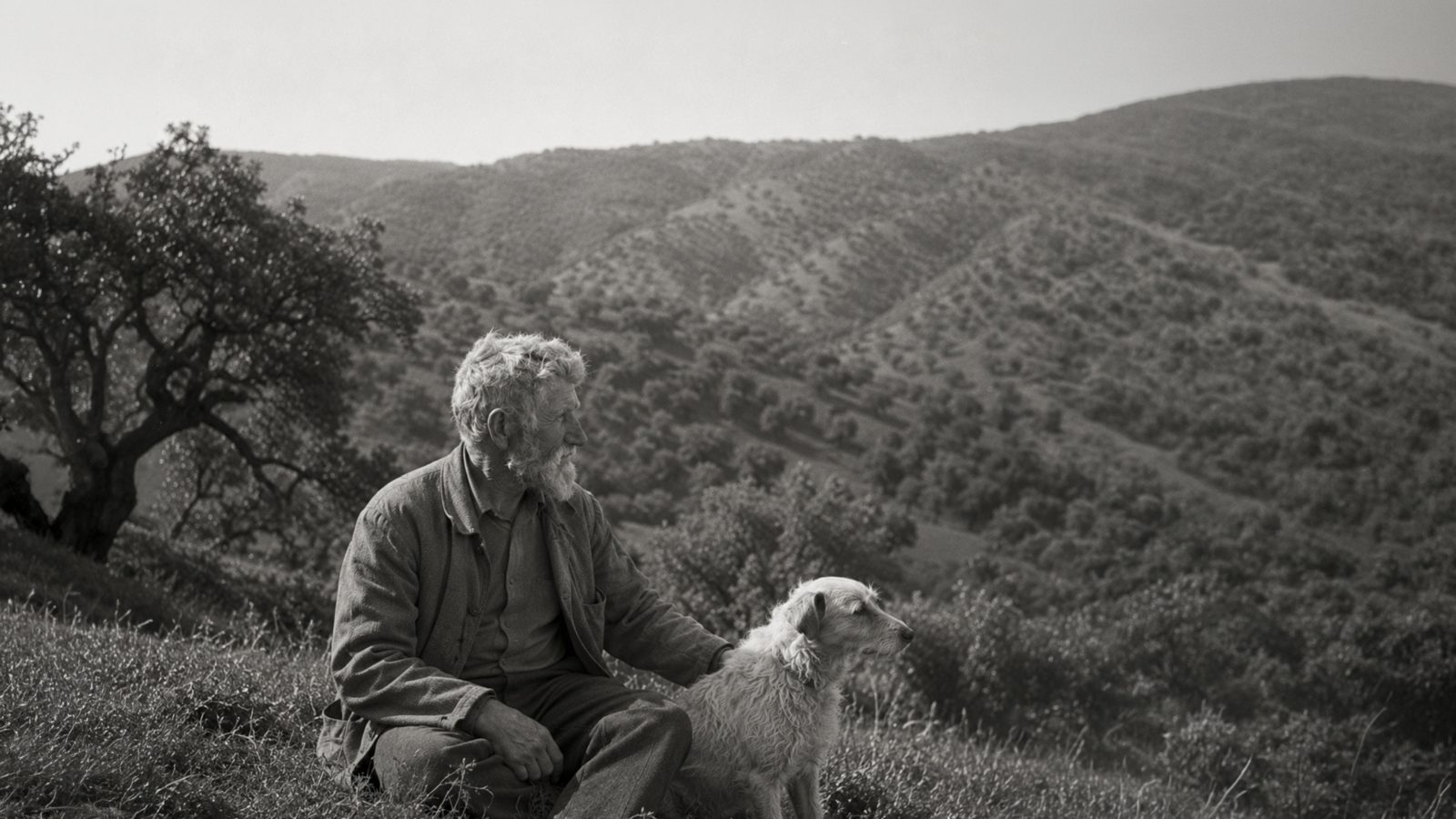 Melides: An Anatomy of the Last Quiet Coast