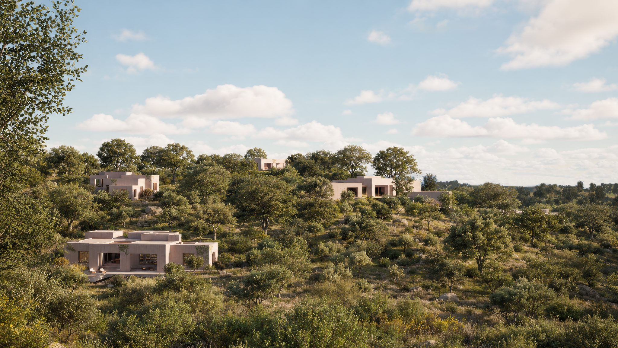Global view of the domain — Apaulinha Melides Luxury Housing Development