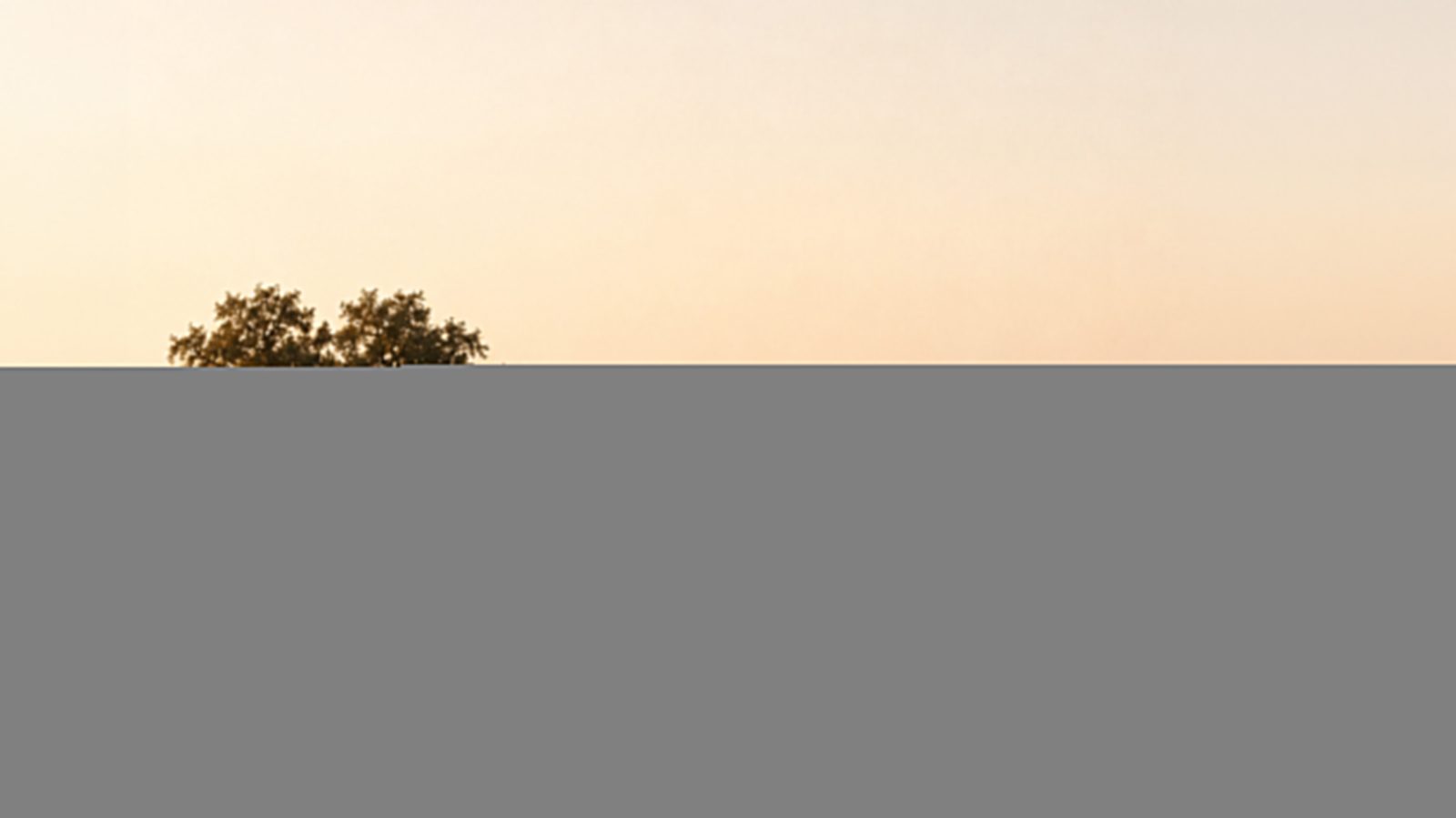 The Atlantic Coast of Grândola: Ten Beaches